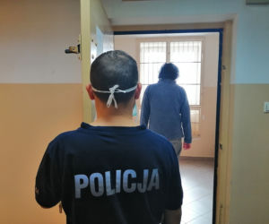 Plantacja trawki pod Otwockiem