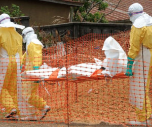 epidemia, wirus, ebola