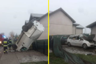 Kompletna DEMOLKA w wykonaniu busiarza. Zmasakrował posesje i dwa samochody [ZDJĘCIA]
