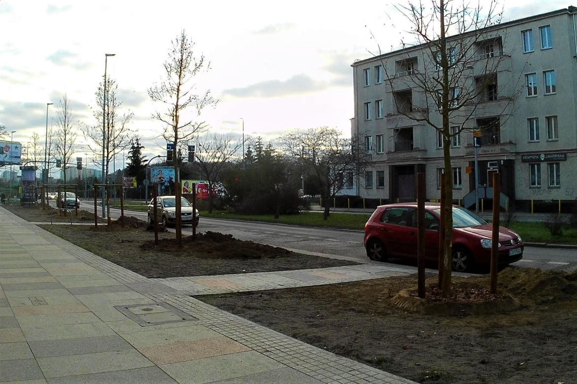 Drzewa powróciły na aleję Bohaterów Warszawy