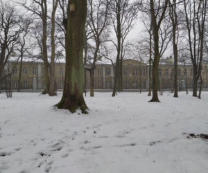 Gdzie mieścił się kiedyś letni teatr? Siedlecki park Aleksandria sto lat temu i w pierwszym tygodniu stycznia 2021: