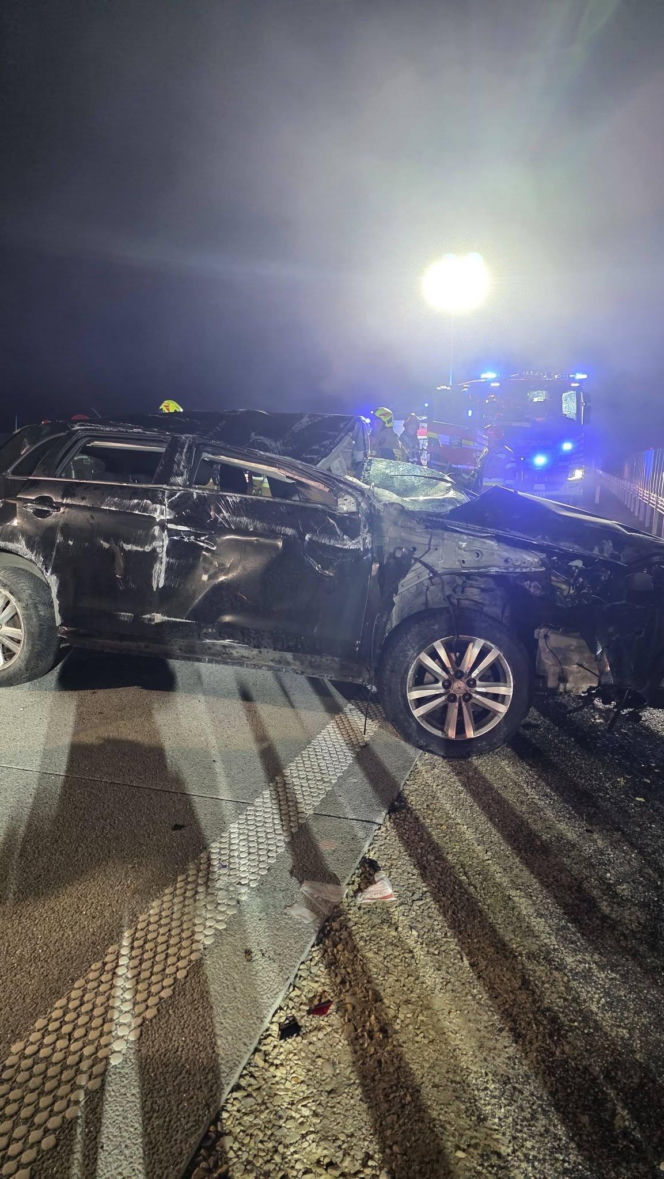 Zderzenie samochodu z łosiem na A2 pod Siedlcami
