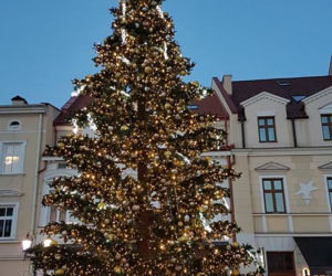 Ozdoby świąteczne w Rzeszowie
