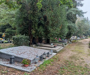 Cmentarz Junikowo Poznań