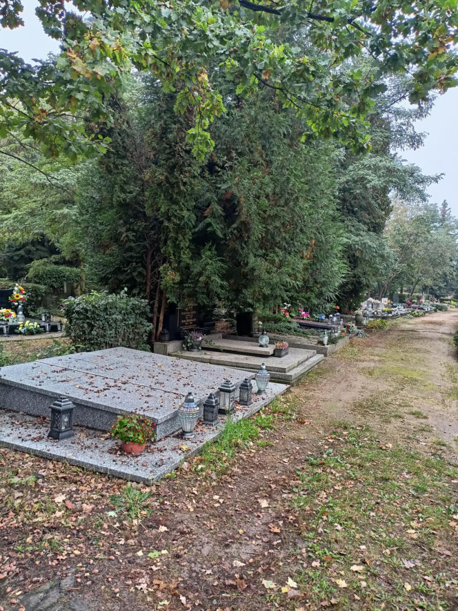 Cmentarz Junikowo Poznań