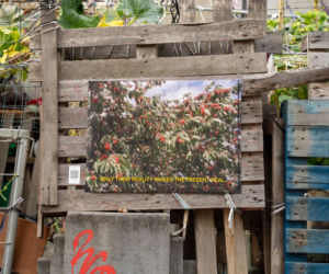 Centrum Centrum, work on the fence