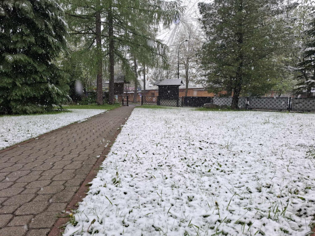 Atak zimy w maju. Śnieg w Zakopanem