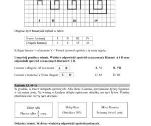Egzamin ósmoklasisty 2020 - arkusz egzaminacyjny z matematyki
