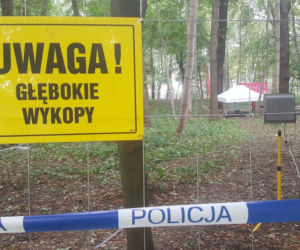Na Westerplatte znaleziono ponad 200 szczątków kostnych
