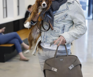 Gwiazdy na premierze książki Orłosiów