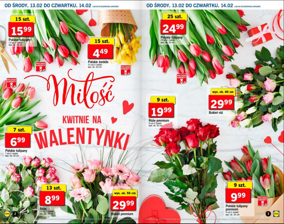 Kwiaty za grosze w Lidlu