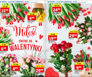 Kwiaty za grosze w Lidlu