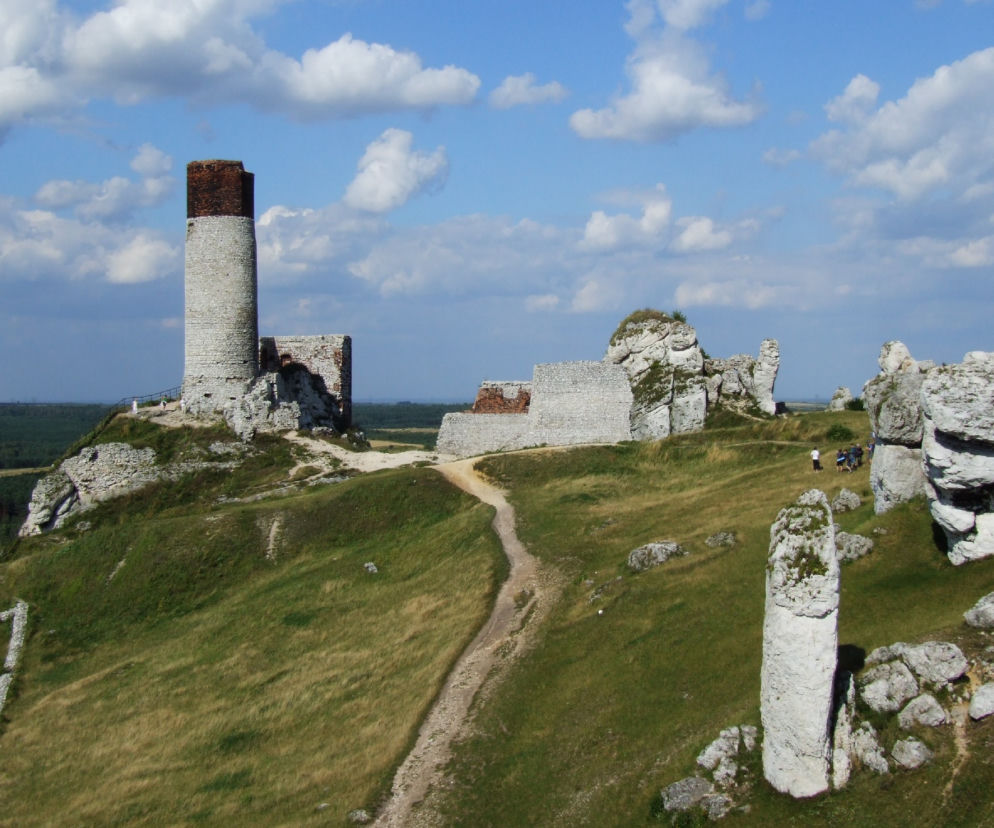 Zamek w Olsztynie