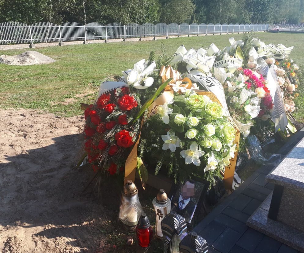 Osy zabiły Bogdana
