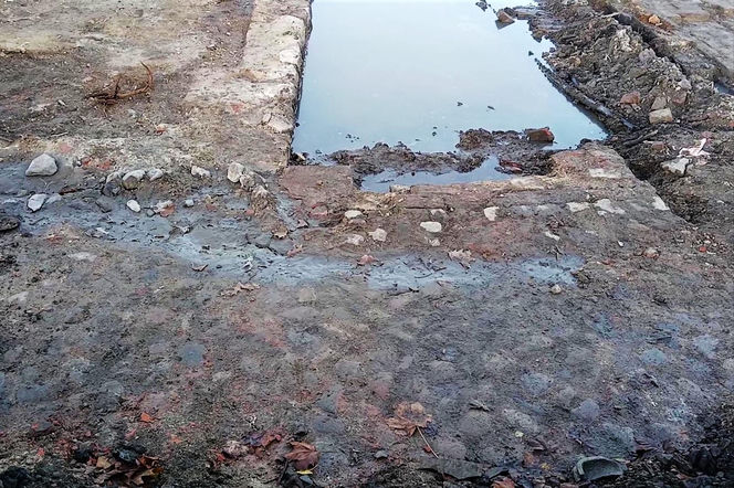 Pozostałości spichlerzy przy ul. Zbożowej