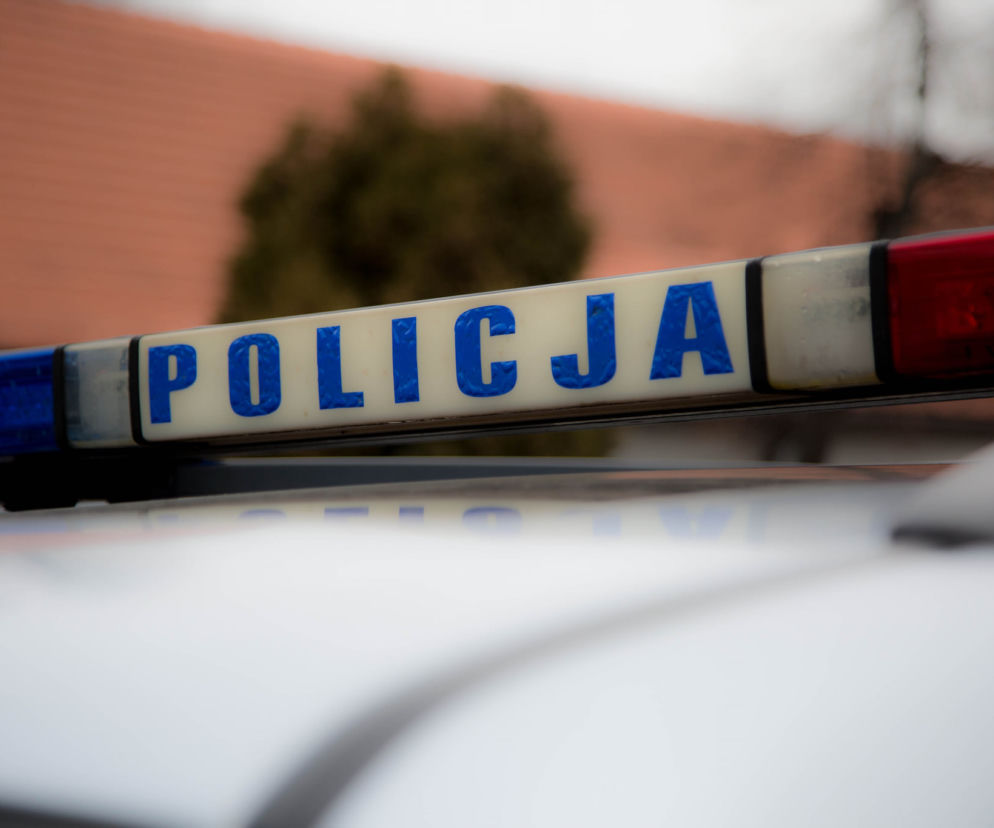 policja
