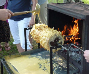 Sękacz