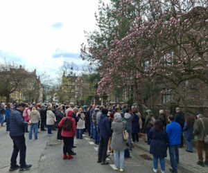 Szlak Kwitnących Magnolii