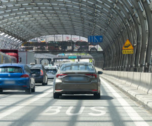 Poseł PiS przejechał 10 km po karmę dla kota