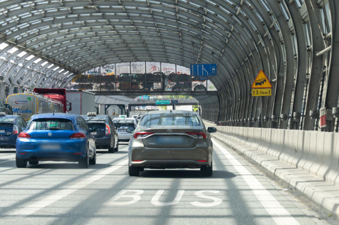 Poseł PiS przejechał 10 km po karmę dla kota