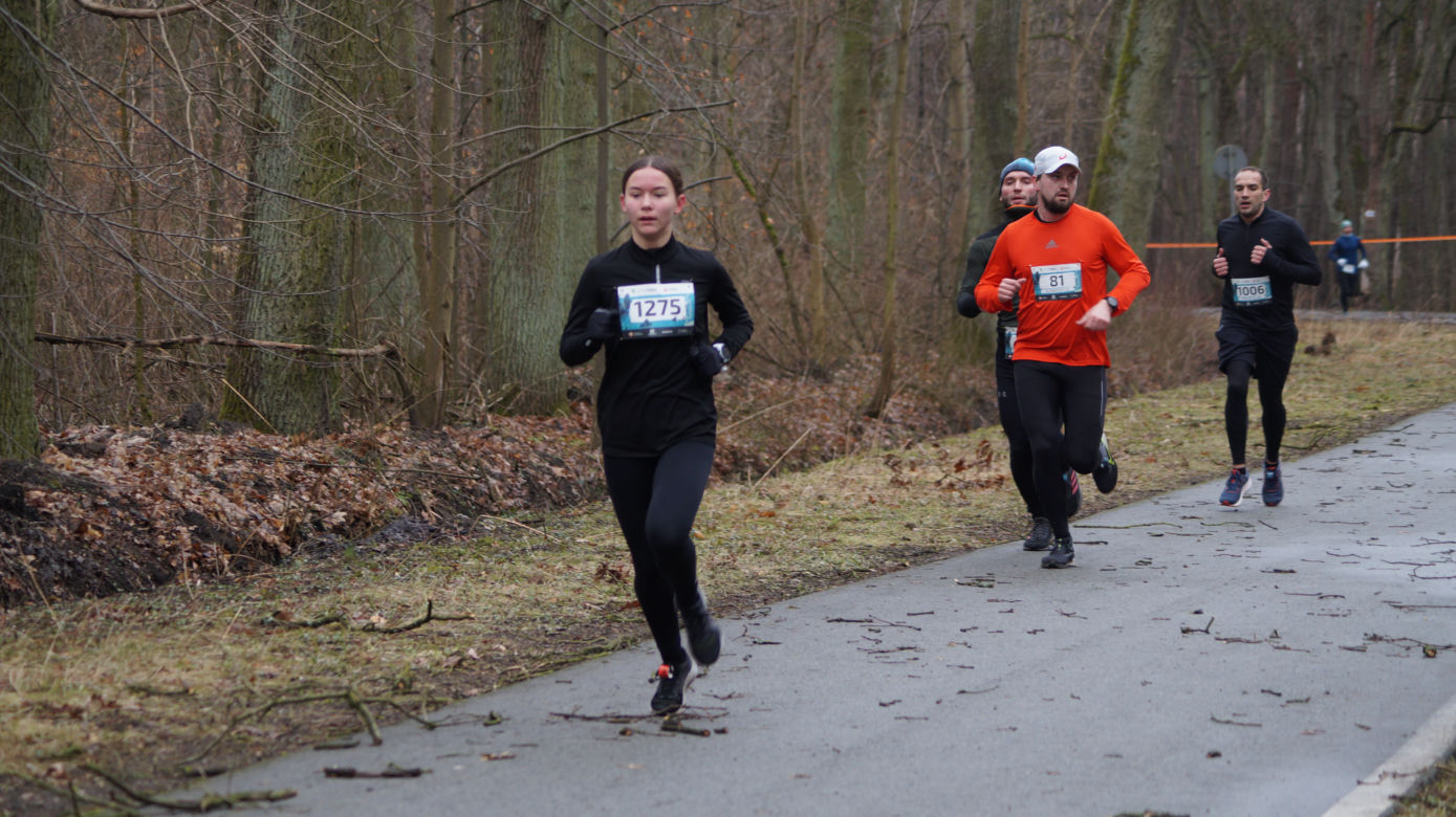 Bieg City TRAIL 2022 w bydgoskim Myślęcinku [ZDJĘCIA]