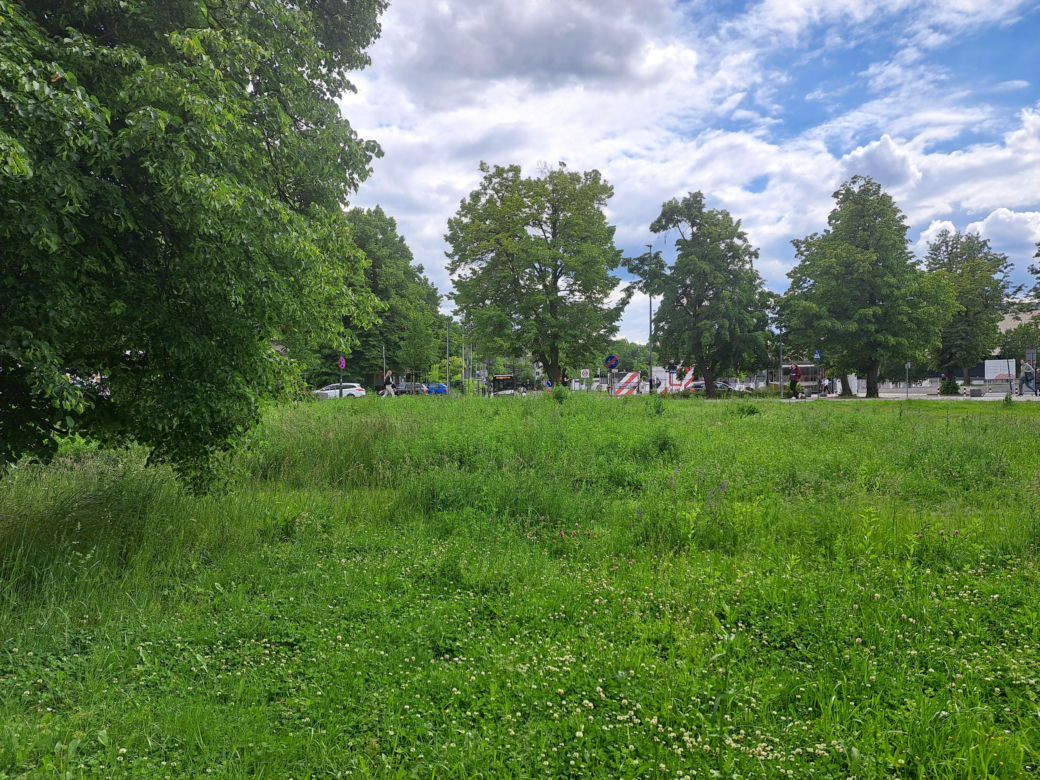 Błonia w Krakowie