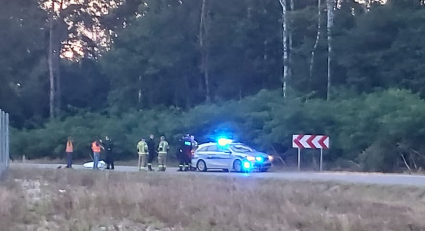 Robert miał dwoje dzieci