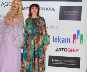 Gala gwiazd na gwiazdkę