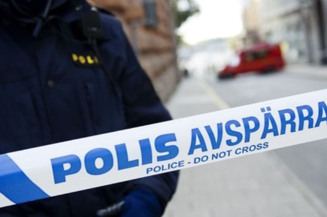 Polka i jej troje dzieci ZAMORODWANI w Szwecji Polka i jej troje dzieci ZAMORODWANI w Szwecji