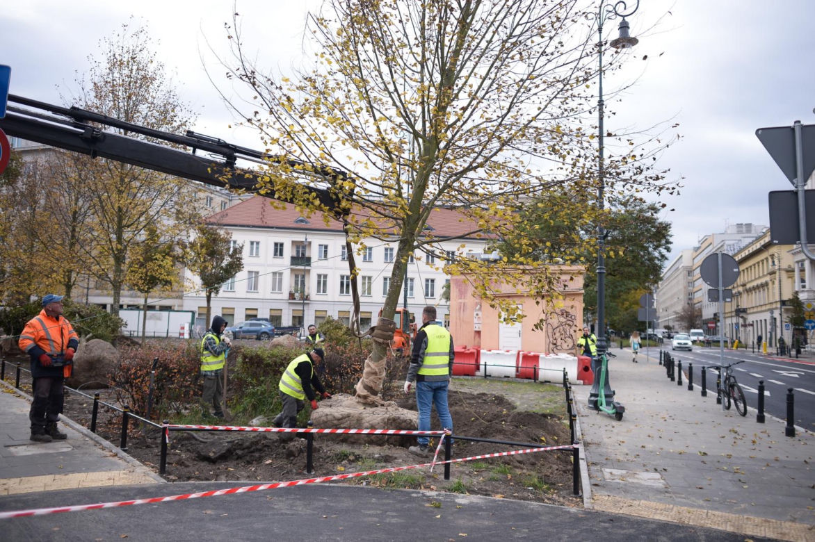 Sadzenie drzew na placu Trzech Krzyży