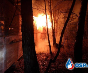 Obrazy jak z HORRORU! Drewniany budynek doszczętnie spłonął 