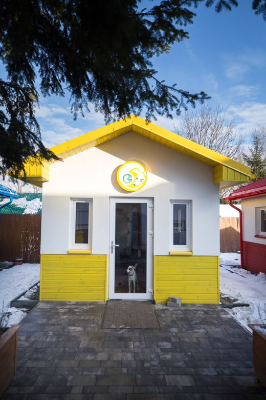 Psy czekają na adopcję w przemyskiej psiej wiosce [ZDJĘCIA]