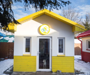 Psy czekają na adopcję w przemyskiej psiej wiosce [ZDJĘCIA]