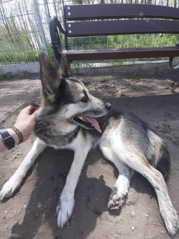 Mokka w COZ w Grudziądzu