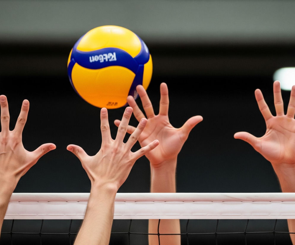 Ekstraklasa siatkarek: Pa.jpg