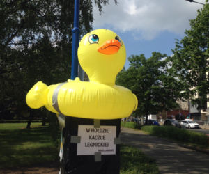 Pomnik czystości we Wrocławiu