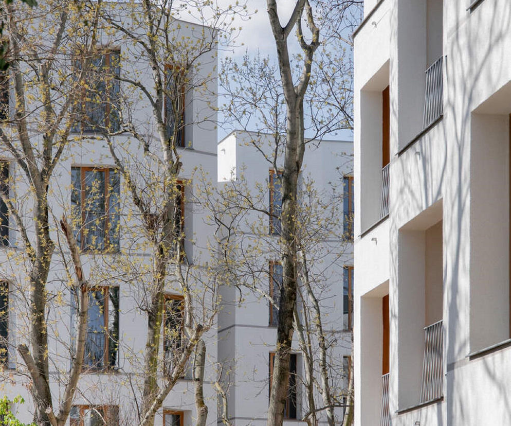 Jasne, gładkie elewacje budynków zespołu mieszkaniowego Solna 6, autorstwa JEMS Architekci, z charakterystycznymi balkonami i loggiami, przeplatają się z gałęziami drzew. Te elementy architektoniczne idealnie współgrają z otoczeniem, co jest podkreślone w artykułach na portalu Architektura Murator Plus.