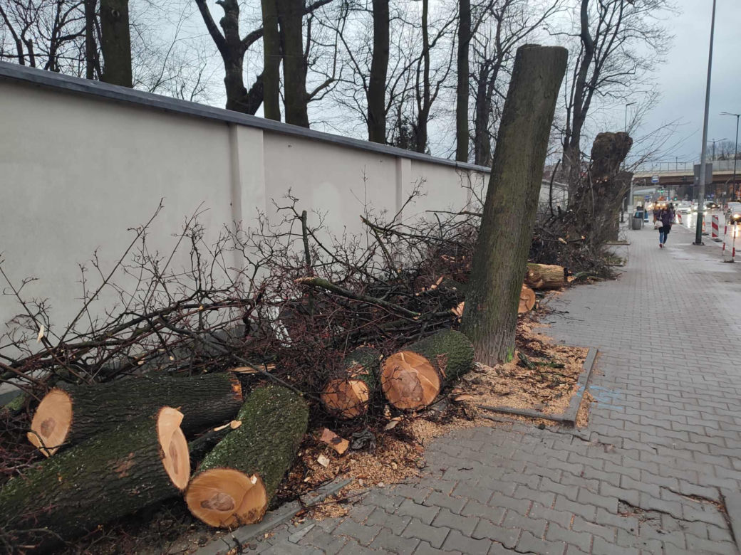 Nowa ścieżka rowerowa na al. 29 Listopada. Skończyło się rzezią drzew