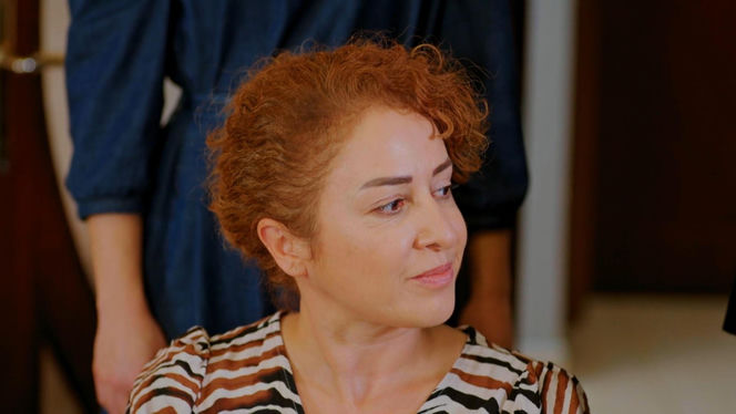 Miłość i nadzieja, odcinek 328. Hulya, Bahar