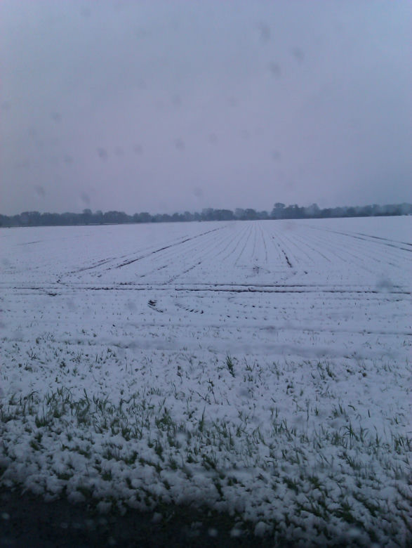 Zima w maju 2011 - zdjęcia Czytelników (Kłodzko, Bardo, okolice Ząbkowic Śląskich)