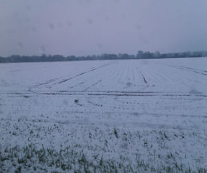 Zima w maju 2011 - zdjęcia Czytelników (Kłodzko, Bardo, okolice Ząbkowic Śląskich)