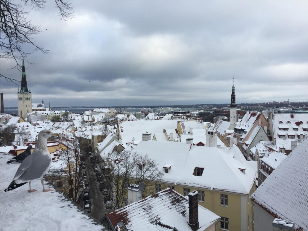 6. Tallin