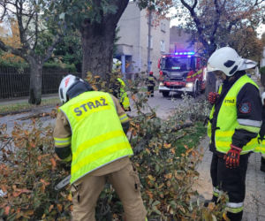 Potężna nawałnica przeszła przez Bydgoszcz i region! [ZDJĘCIA]