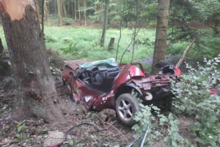 Podkarpacie: Samochód wypadł z drogi i uderzył w drzewo. Kierowca zginął na miejscu [ZDJĘCIA]