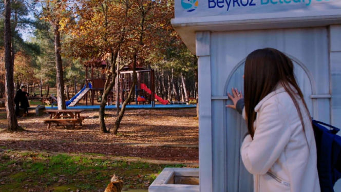 Miłość i nadzieja, odcinek 349. Ege, Zeynep