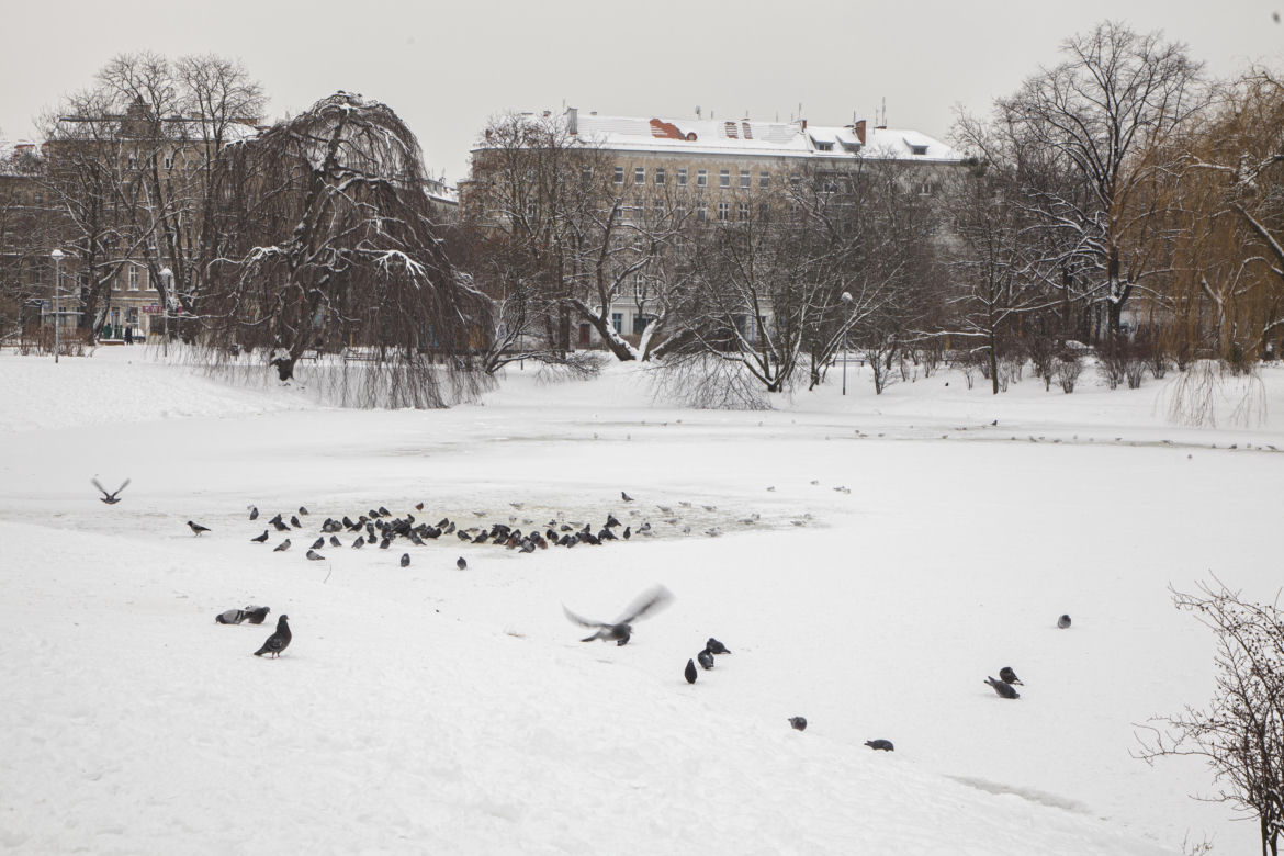 Zima we Wrocławiu