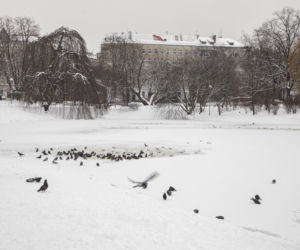 Zima we Wrocławiu
