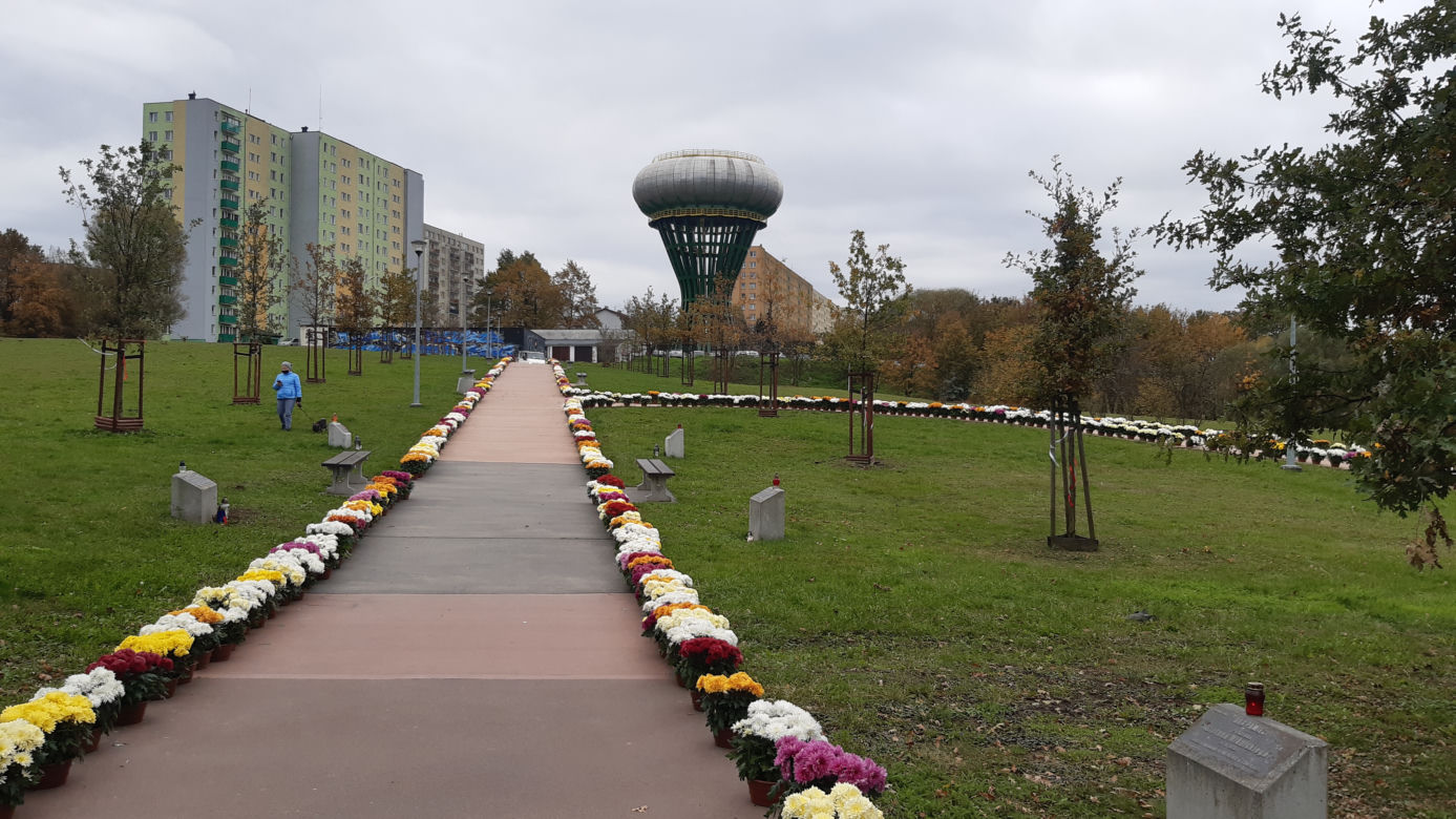 Dwa tysiące chryzantem ozdobiło park w Tarnowie