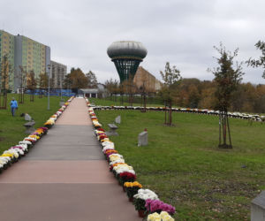 Dwa tysiące chryzantem ozdobiło park w Tarnowie