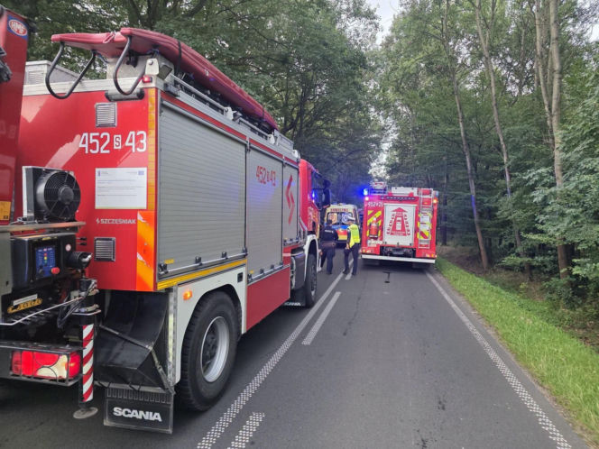 Świadkowie walczyli o życie kierowcy. Cztery gaśnice przy spalonym wraku [ZDJĘCIA]